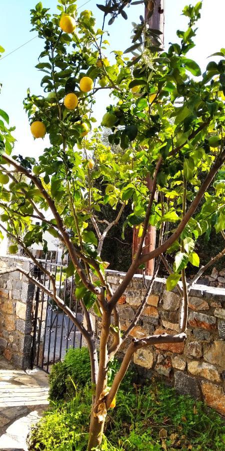 Traditional House In Elounda 外观 照片
